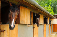 free Shipmeadow stable construction quotes